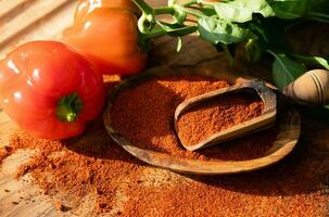 smoked red Hungary Paprika sweet or spicy photo