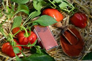 smoked red Hungary Paprika sweet or spicy photo