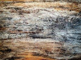 Old grunge wooden texture with insect paths on it. Timber texture photo