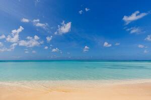 Perfect tropical beach landscape. Vacation holidays background. Sea view from tropical beach with sunny sky. Summer paradise beach website design. Tropical shore. Tropical sea in Maldives. Exotic photo