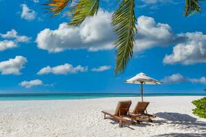 Tropical beach nature as summer landscape with couple chairs, beds under palm trees, calm sea sky for beach. Luxury travel landscape, beautiful honeymoon destination for vacation holiday. Beach coast photo