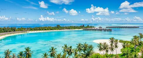 Amazing island beach. Maldives from aerial view tranquil tropical landscape seaside with palm trees on white sandy beach. Exotic nature shore, luxury resort island. Beautiful summer holiday tourism photo