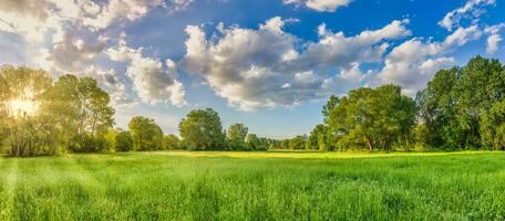 Idyllic mountain panoramic landscape. Fresh green meadows and blooming wildflowers, sun ray. Beautiful nature countryside view, rural sunny outdoor natural. Bright banner nature spring summer panorama photo