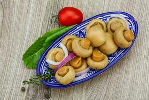 Pickled champignon in a bowl on wooden background photo