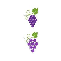 Grapes vector icon illustration design