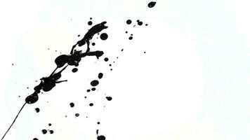Drop black paint animation on the isolated white background. Abstract black ink footage for artistic overlay, transition and texture footage. video