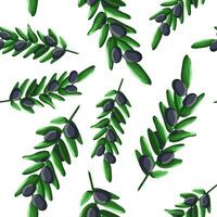 olive branch pattern vector