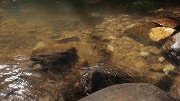 Water running the downstream near a waterfall full of rocks in the nature video