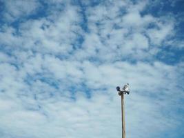 The broadcasting tower is made of cement pillar on the background, is a bright blue sky and empty. photo