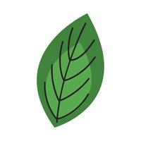 ecology leafs plant foliage icon vector