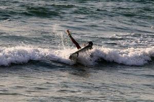 surfeando en olas altas en el mar mediterráneo en el norte de israel. foto