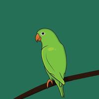 linda perca de loro verde en rama, ilustración de logotipo vectorial. estilo de dibujos animados de aves tropicales. vector