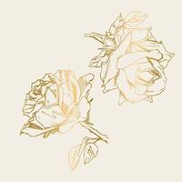 Hand drawn rose. Vector illustration. Vintage tattoo style rose. Flower motif sketch for design. Ink illustration isolated.