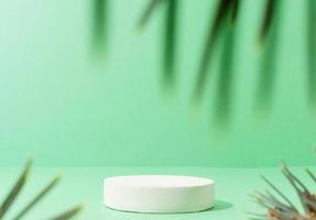 A minimalistic scene of a podium with christmas pine tree on green background photo