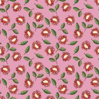 Seamless pattern with rambutans. Design for fabric, textile, wallpaper, packaging. vector