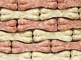 Dog bone food background photo