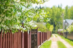 Gate, fence and spring nature. Colorful spring background, home entrance, curb appeal photo