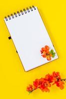 Notebook page with red Chaenomeles japonica or quince flowers on yellow background, top view, flat lay, mockup photo