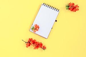 Notebook page with red Chaenomeles japonica or quince flowers on yellow background, top view, flat lay, mockup photo