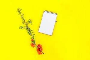 Creative flat lay of blank spiral notepad frame mock up and quince tree flowers petals on yellow background with copy space in minimal style, template for lettering, text or your design photo