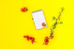Notebook page with red Chaenomeles japonica or quince flowers on yellow background, top view, flat lay, mockup photo