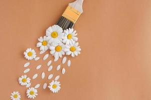 Flowers composition. Creative layout made of white cammomile flowers and paint brush on pastel background. Flat lay, top view, copy space. photo