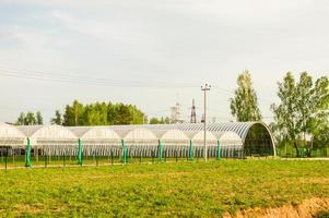 invernaderos comerciales de vidrio. producción industrial de alta tecnología de hortalizas y flores. foto