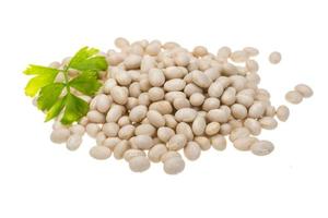 White beans on white background photo