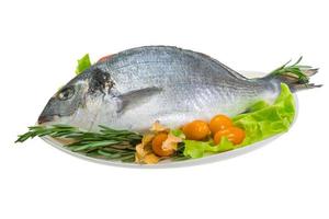 Raw dorada on the plate and white background photo