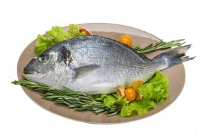 Raw dorado on the plate and white background photo