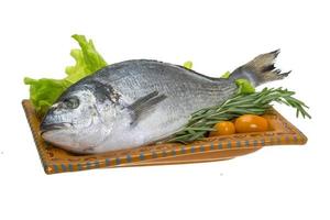 Raw dorado in a bowl on white background photo