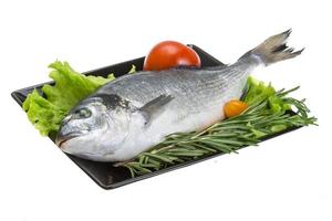 Raw dorado on the plate and white background photo