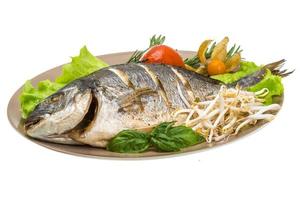 Grilled dorada on the plate and white background photo