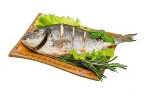 Grilled dorada in a bowl on white background photo