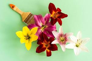 creative flower arrangement. multi-colored heads of garden lilies with a molar brush. the concept of painting without the pungent smell of paints. photo