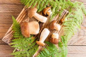 borovik mushrooms on a wooden board. top view. rustic style. photo