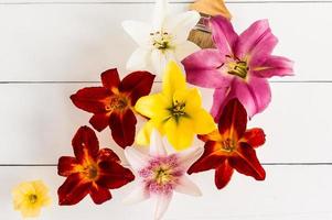 floral creative arrangement. a model of beautiful lilies with a paint brush. the concept of bright paints. photo