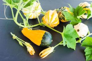 different types of decorative pumpkins in the autumn composition. photo