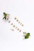 two spring buds of flowering apple trees on a white background with an inscription of wooden letters - hello spring. top view. a copy space. flat lay. photo