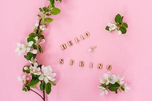a branch of a flowering apple tree, buds and flowers with green leaves on a pink background with the inscription - hello spring. top view. flat lay. photo