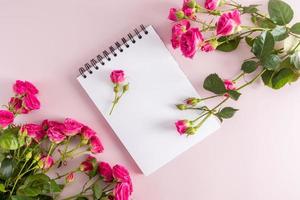 festive composition of an open notebook with clean sheets and beautiful garden pink roses. top view. pink background. space for text. photo