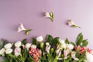 beautiful spring flowers on a purple background with a copy of the space. top view. floral border. photo
