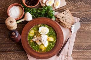 a plate of country soup made of fresh sorrel with sour cream and boiled egg. cilantro greens, garlic. traditional Russian, Polish, Latvian soup.