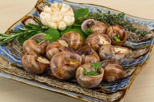 Escargot on the plate and wooden background photo