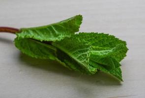 Mint leaves on wooden background photo