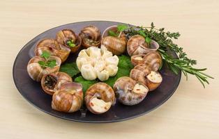 Escargot on the plate and wooden background photo