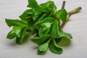 Mint leaves on wooden background photo