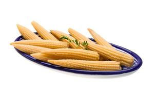 Baby corn in a bowl on white background photo