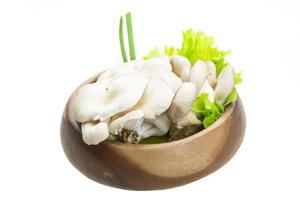 Fresh Fungus in a bowl on white background photo