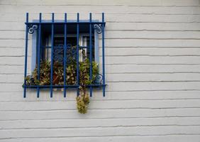 Blue window bars on a white wall adorned with flower pots photo